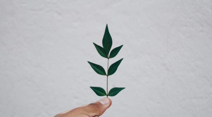 Wyzwania dla detergentów w obszarze certyfikacji Ecolabel Ecolabel