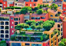 Czy zielone dachy są bezpieczne? Zarządcy nieruchomości