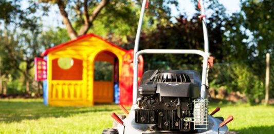 Ile kosztuje sprzątanie działki?