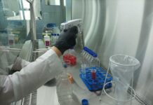 Od producenta dezynfekcji do firmy badawczo-rozwojowej Tworzenie produktu