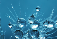 Naturalne i Wyjątkowo Czyste Rozwiązanie