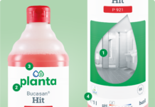 Dlaczego nowy design Planta jest na plus? Planta