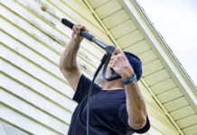 CLINEX EDU: Mycie elewacji. Jak usunąć zielone naloty ze ściany? zielone naloty