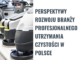 Perspektywy Rozwoju Branży Profesjonalnego Utrzymania Czystości w Polsce branży