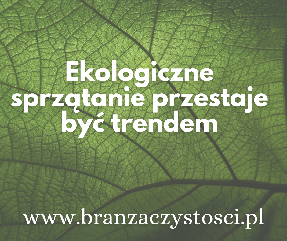 ekologiczne sprzątanie