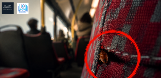 pluskwy w autobusach