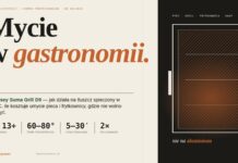 Mycie w gastronomii: Suma Grill D9 – piec, grill, frytkownica mycie w gastronomii