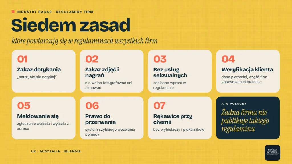 Siedem zasad z regulaminów firm oferujących sprzątanie nago